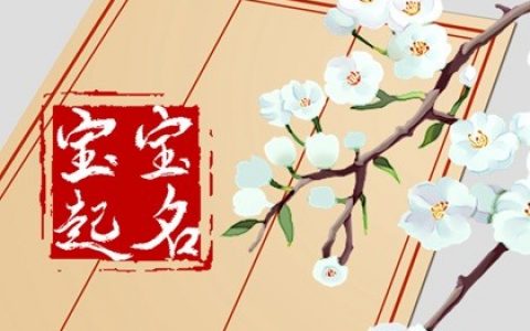 從周易角度出發，為屬兔男孩起一個前程似錦大富大貴的名字