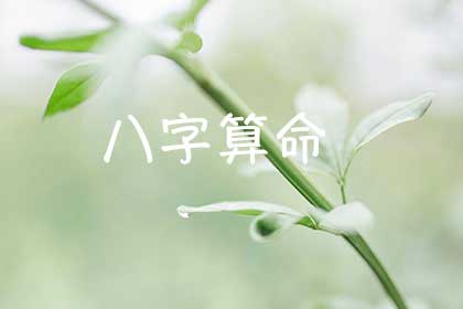 完全免費(fèi)卜卦算終生，終生財(cái)運(yùn)導(dǎo)出（易經(jīng)天心卜卦 終生卦）